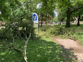 A severe storm knocked down branches and uprooted trees in Alexandra Park in Brantford on Saturday, May 21.