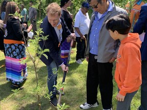Marc Miller, Minister of Crown-Indigenous Relations, helps plant an apple tree during a ceremony Tuesday in a park created on the grounds of the former Mohawk Institute residential school in Brantford. With him are Geronimo Henry, a school survivor, and Heya'ton:nis (Lawrence Hill), a student at Everlasting Tree School, a Mohawk immersion school on Six Nations of the Grand River.