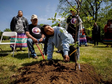 Yetsi'tsyaronkwas, a Grade 5 student at Everlasting Tree School, a Mohawk immersion school on Six Nations of the Grand River, helps plant an apple tree during a ceremony Tuesday on the grounds of the former Mohawk Institute residential school in Brantford. Watch is John Elliott, a Mohawk Institute survivor. Cole Burston/ AFP via Getty Images