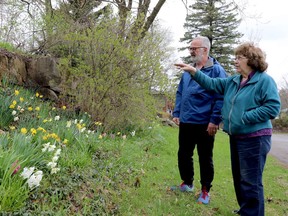 Dale Chisamore, left, and Geri Secord discuss a garden to be featured on Saturday's Brockville Jane's Walk. (RONALD ZAJAC/The Recorder and Times)
