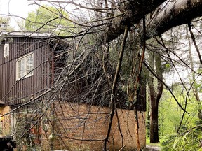 Front of Yonge Mayor Roger Haley sent this image of a tree that hit the roof of his home in Saturday's massive storm. (SUBMITTED PHOTO)