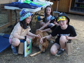 Ella Pennie, 9, left, her sister McKenzie, 11, and cousins Levi Pennie, 6, and Scarlett Pennie, right, enjoy spending some time with Winnie, during his birthday party at Charlotte's Freedom Farm on Saturday. PHOTO Ellwood Shreve/Chatham Daily News