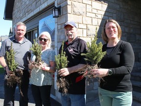 Local resident Dawn MacIntyre (second from left) was picking up a White Spruce seedling bundle on Tuesday morning as part of a 1,000-tree giveaway at Chase Meadows in Long Sault. From left are Grant Brown (Newell and Grant Brown Ltd.), Dave Smith (RRCA board vice-chair) and Trish Brown (Brownsdale Custom Homes and Land Development). Photo on Tuesday, May 10, 2022, in Long Sault, Ont. Todd Hambleton/Cornwall Standard-Freeholder/Postmedia Network