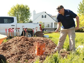 Brendan Jacobs preparing mulch for the new trees along the Raisin River in the north end of the city on Wednesday May 18, 2022 in Cornwall, Ont. Laura Dalton/Cornwall Standard-Freeholder/Postmedia Network