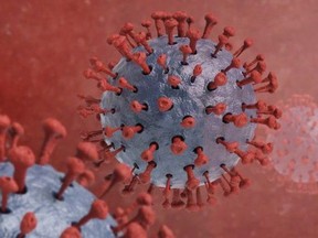 COVID-19 virus. Graphic, file.