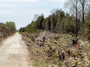 Workers have begun removing trees along a section of land which was formerly part of the Hanover Trails System. Previously used with permission of the landowner, the area is now closed to the public.