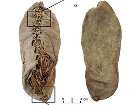 About 5,500 years old, the oldest-known leather shoe was found in 2010 in a cave in Armenia by a team of researchers led by Ron Pinhasi, a lecturer in prehistoric archeology at University College Cork in Ireland.