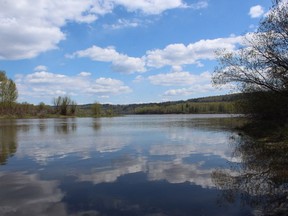 The Nechako River as seen from Cottonwood Park.