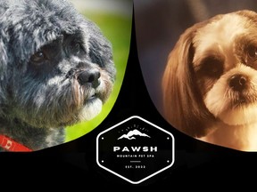Pawsh Mountain Pet Spa is a home-based, luxurious and rustic spa located in Cowley.