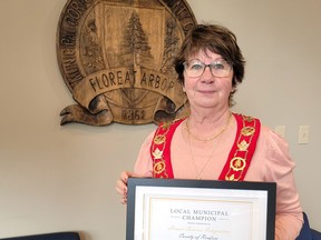County of Renfrew Warden Debbie Robinson accepted the 2021 Local Champion Award from the Ontario Municipal Social Services Association on behalf of the county's Community Services Department during a virtual ceremony on May 2.