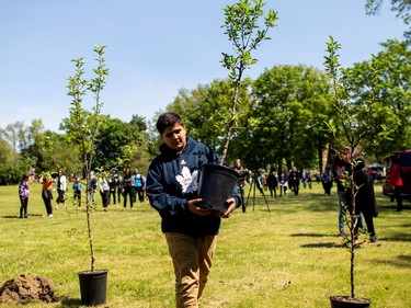 Marlon Staats carries an apple tree during a ceremony Tuesday remembering survivors of the Mohawk Institute residential school in Brantford. Carlos Osorio, Reuters