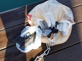 Lambton OPP say a drone carrying a bag of 11 handguns was found stuck in a tree along the St. Clair River near Port Lambton April 29. (Submitted)