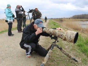 Brian Lasenby, a birder from Grand Bend, set up his camera at the Thedford sewage lagoons Monday where the weekend sighting of a bird never before sighted in Canada is causing a stir.