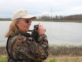 Jennifer Martin, a birder from the Hamilton area, visits the Thedford sewage lagoons Monday where the weekend report of a bird never before sighted in Canada is causing a stir.