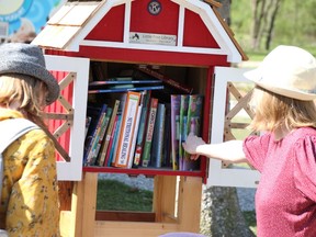 People check out the offerings in a little free library kiosk by the new cabin in Canatara Park.  (Tyler Kula/ The Observer)