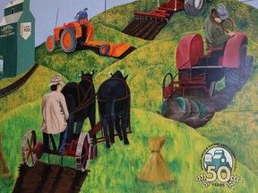 A mural by local artist, Tina Bourassa, honouring Spruce Grove's agricultural roots was unveiled during the Spruce Grove and District Agricultural Heritage Society's 50th anniversary celebration on Saturday, May 7, 2022. The mural will be visible from Highway 16A once it is mounted to the north wall of the Ag Society's pole shed. Photo by Rudy Howell/Postmedia.