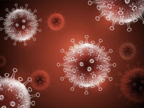 An illustration of the novel coronavirus that causes COVID-19. Getty Images