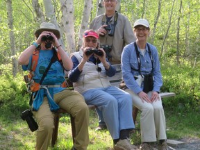 Sudbury birdwatchers enjoy time spend on a Laurentian University trail. Suppiied