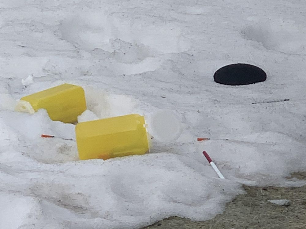 Homeowner jabbed by constant dumping of syringes on her lawn The