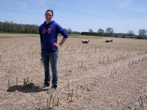 Rebecca Compton from Dalton White Farms in Delhi says after a slow start, the 2022 asparagus season is picking up with the warmer weather.