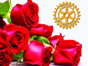 This year's Rotary Roses campaign in Woodstock will support Operation Sharing and Domestic Abuse Services Oxford.
SUBMITTED PHOTO