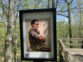 A portrait of George Thorman by Clark McDougall is delightful  to encounter along the Dalewood Reservoir Trail as part of the Art, Trees & Trail project of the St. Thomas-Elgin Public Art Centre. Thorman was a revered teacher, historian and author. 
(BARBARA TAYLOR/Postmedia Network)