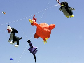Kites of all shapes and sizes -- including a dog, a turkey and a penguin -- take to the air in the Strawberry Fields Kite Festival on the grounds of the former St. Thomas Psychiatric Hospital. Grounded for two years by the pandemic, the festival may not return. (Postmedia file photo)