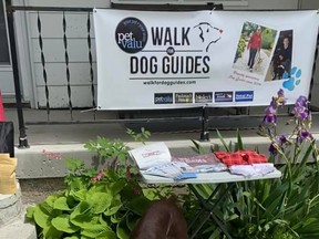Rya is performing a fun mental simulation game of finding her kibble in the pool. The annual Pet Valu Walk for Guide Dogs takes place this Sunday. The fundraiser for guide dogs is taking place virtually.