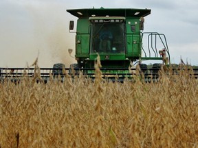 A combine harvests a field in Lambton County.