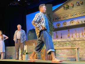Buying the Farm is the latest production at the Lighthouse Festival Theatre. The comedy, written by Shelley Hoffman and Stephen Sparks, stars, from left,  Carlyn Rhamey as Esme,  Ralph Small as Magnus and John Echano as Brad. The play runs until June 25.