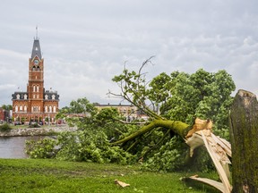 A tree, snapped in half by high winds, lays on the ground as Belleville City hall looks on from across the Moira river. ALEX FILIPE