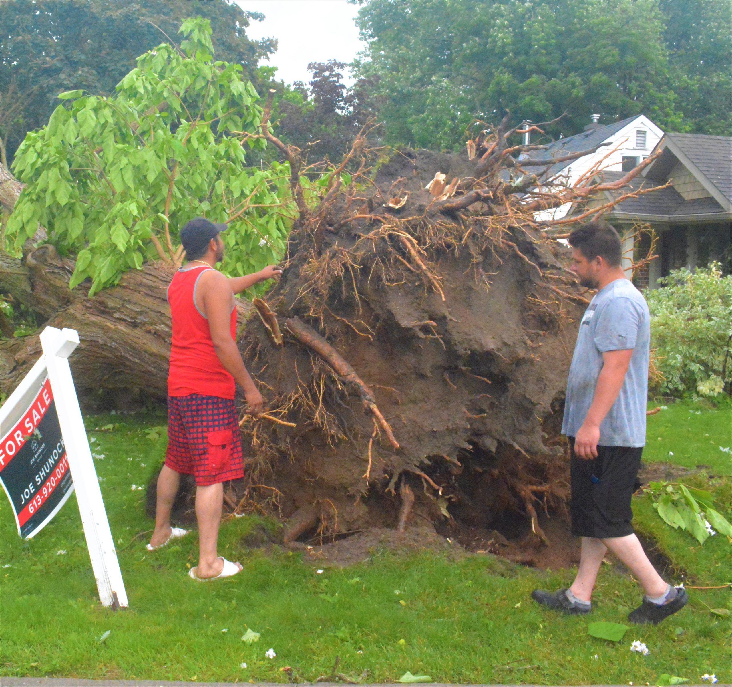 Destructive storm tears through Belleville’s downtown, fells trees in