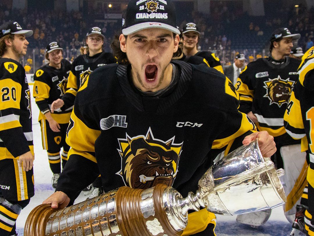 Hamilton Bulldogs sweep into the OHL championship series