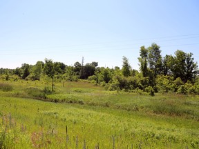 Part of the Madoc land once proposed for a housing development appears in this south-facing photo from Highway 7, east of Highway 62.