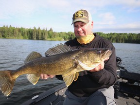 Eric Naig of Minnesota with a beautiful walleye from Lake of the Woods this past week caught on a soft plastic minnow imitator. Photo by Jeff Gustafson