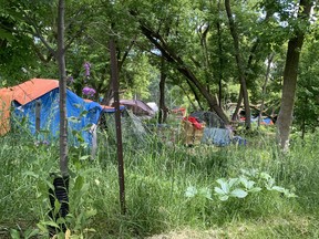 About 60 people are camping in the woods around the integrated care hub in Kingston, Ont. on Tuesday, June 14, 2022. Elliot Ferguson/The Whig-Standard/Postmedia Network