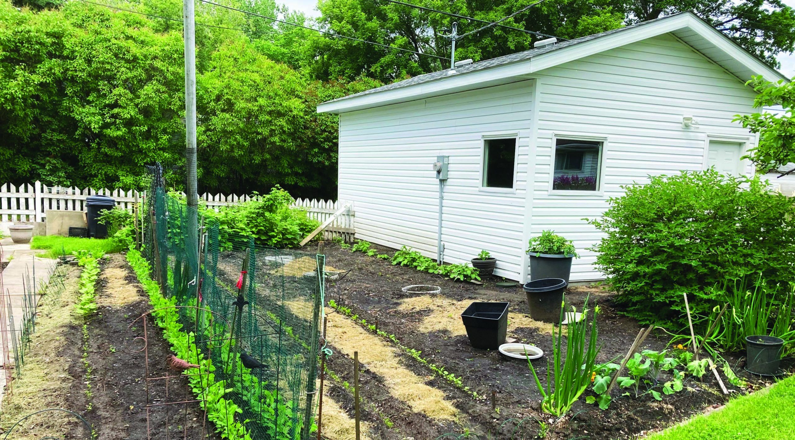 Devon Yard and Garden Tour Meet the gardeners Devon Dispatch