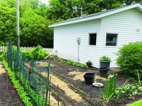 Jessie May's vegetable garden will be featured in the Devon Yard and Garden Tour. (supplied)