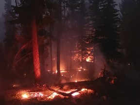 A file photo of the massive Sparks Lake Wildfire near Kamloops, BC, which burned for much of last summer.