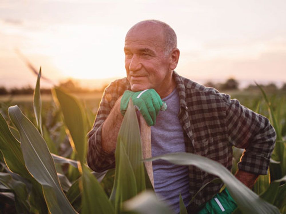 Value in understanding mental health on the farm. And acting. | Ontario ...