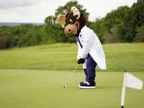 The BGH Foundation's mascot, Max the Medical Moose, gets into the swing of things during the Fairways for Fractures golf tournament at Belleville's Black Bear Ridge course. Submitted/The Intelligencer/Postmedia Network