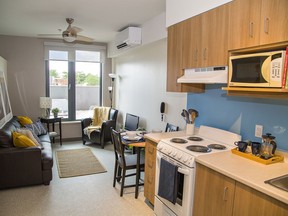 A staged one-bedroom apartment shows the kitchenette and living room at Dogwood Suites.