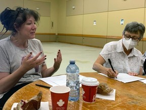 Colleen Smith of Brantford talks to members of the local Ontario Health Team at a townhall meeting on Thursday at the civic centre auditorium. Michelle Ruby