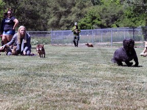 A grand opening was held Saturday for the small dog addition to Dogford Park. Submitted