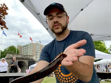 Ross Shaw, of the Great Lakes Fishery Commission, demonstrates the power of the sea lamprey, an invasive species threatening local fisheries, during the Tall Ships Festival on Sunday afternoon. (RONALD ZAJAC/The Recorder and Times)
