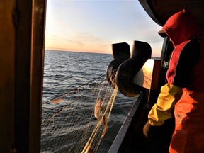 MARTINELLO: Aboard the Lake Erie fishing tug Lady Anna II (Part 4)