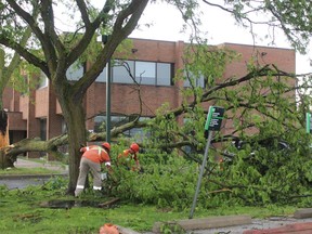 Crews worked to clear away a section of this tree on King Street in front of the TD Canada Trust bank in Chatham that was blown down during Wednesday's severe thunderstorm.  PHOTO Ellwood Shreve/Chatham Daily News