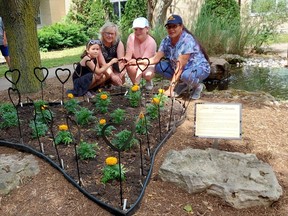 Susie's Heart Garden, located in the courtyard of McNaughton Avenue Public School, honours residential school survivor Susie Jones, who shared her story to help educate others, including several students at the Chatham elementary school. Taking part in the cermony were, from left, student Ayla Waites, 5, kindergarten teacher Margie Lamoure, student Zoe Niven, 12, and Susan Jones, daughter of Susie Jones. PHOTO Ellwood Shreve/Chatham Daily News