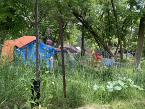 About 60 people are camping in the woods around the Integrated Care Hub in Kingston, Ont. ,on Tuesday, June 14, 2022. Elliot Ferguson/The Kingston Whig-Standard/Postmedia Network