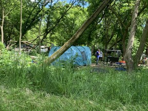 About 60 people are camping in the woods around the Integrated Care Hub in Kingston.